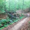 Intersection of Ye Olde Trail, Yellow Jacket, and Lake View.  Pulaski Eagle Scout Trails