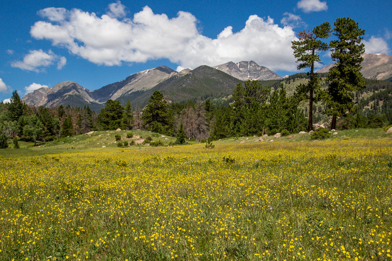 Views of the Mummy Range (photo by Jim Westfall)