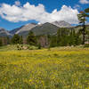 Views of the Mummy Range (photo by Jim Westfall)