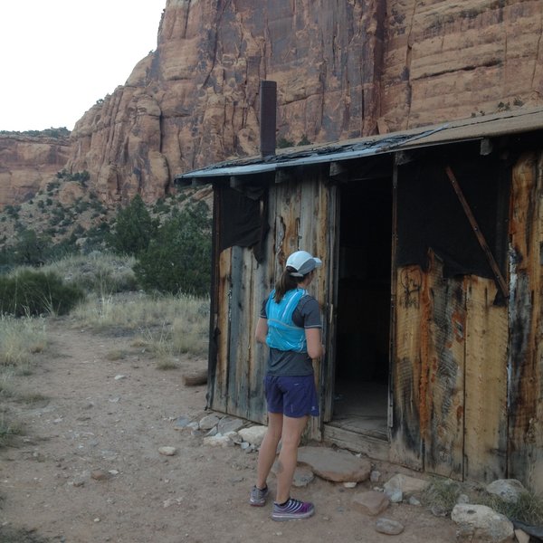 Scoping out the namesake cabin.