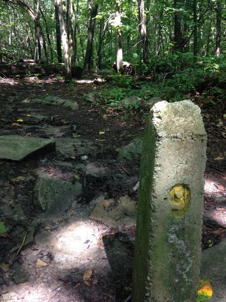 Totem 9, marking the end of climb 3, the most significant climb along the LHHT heading south to north.