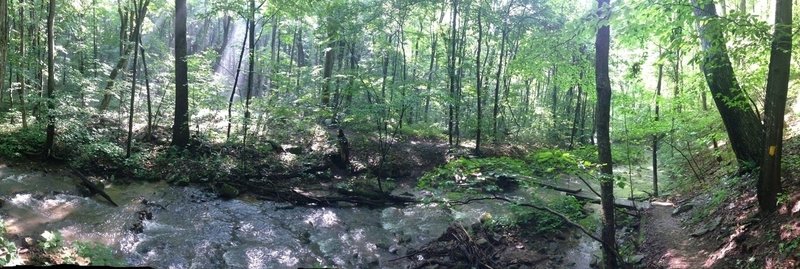 Sunlight weaves its way through the thick canopy, catching hints of mist along Lick Run.  A short series of switchbacks lead to this gem, where the cold water in summer offers a brief respite from an otherwise absurdly humid trail.