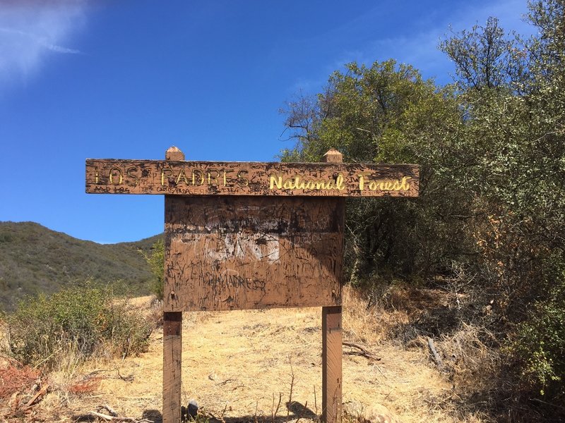 Where the state park ends and the national forest begins.