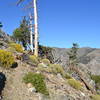 Looking back east along the trail.