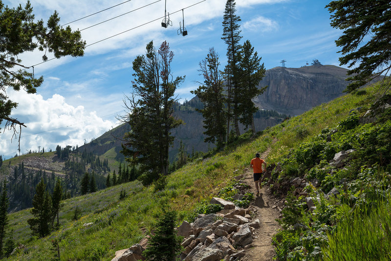 Cruising underneath the Marmot lift near the top of Wildflower Trail. Photo: Patrick Nelson / Jackson Hole Mountain Resort