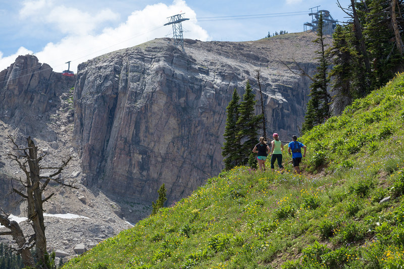 With Corbet's Couloir & Rendezvous Mountain summit in the foreground, runners on Cirque Trail enjoy one of the best running trails in the southern Tetons. Photo: Patrick Nelson / Jackson Hole Mountain Resort.