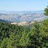 View from Nuthatch Trail