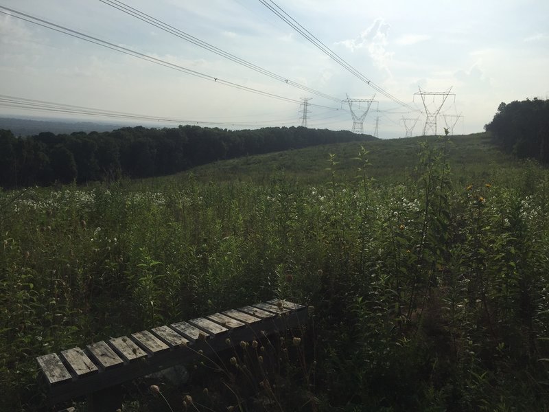 One of the two places along the Wade Mountain Trail that offers a nice view via power line cut.