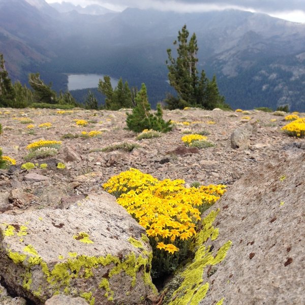 Looking towards Lake Mary