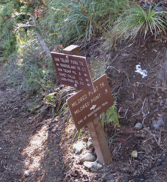 Mildred Point trail junction (Photo by Brewbooks)