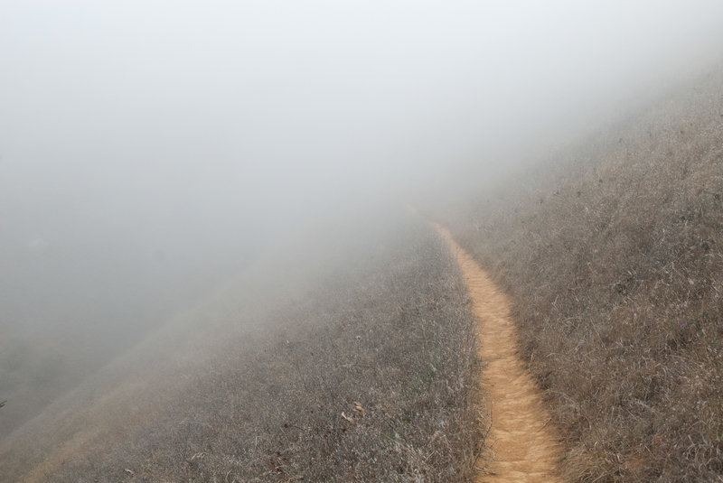 Disappearing trail