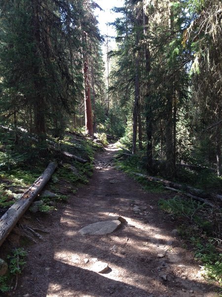 Cascade Trail just past Monarch Lake