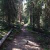 Cascade Trail just past Monarch Lake