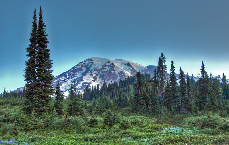 Views from Alta Vista (photo by Ralph Arvesen)