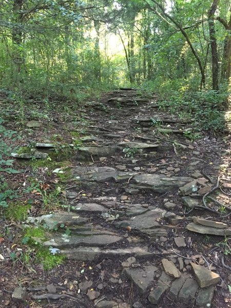 Rocky section leading to the South Plateau Loop