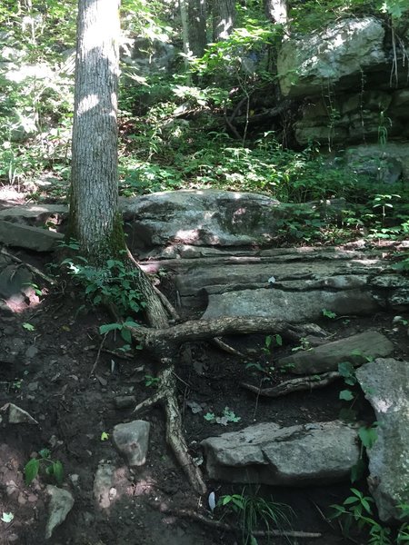 One of the many spots on Death Mile that require scrambling or climbing.