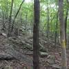 Start of the Incline up to "Rest Shelter"