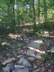 Rocky Bucca Trail