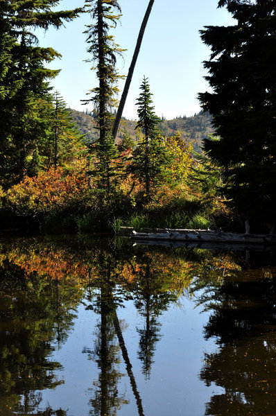 Small tarn on the High Lakes trail - fall colors (photo by Steve Cyr)