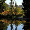 Small tarn on the High Lakes trail - fall colors (photo by Steve Cyr)