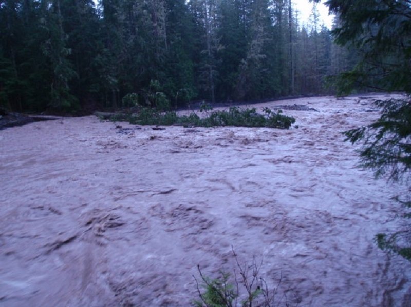 Rain swollen Tahoma Creek (photo by NPS Paul Kennard)