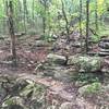 A well constructed stone section of the Dummy Line Trail over a creek bed.