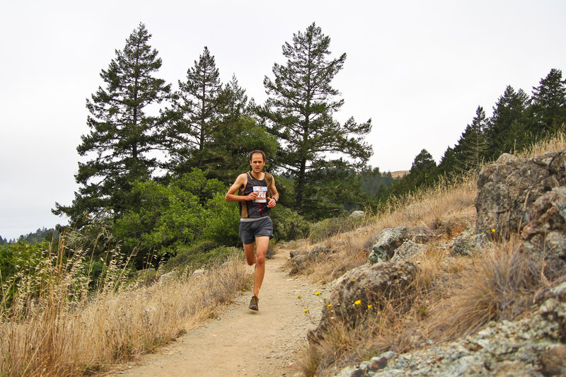 Striding out on the Matt Davis trail.