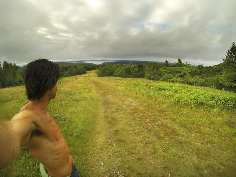 Looking south over the blueberry fields