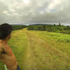 Looking south over the blueberry fields