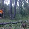 No, I'm not very fast - I just suck at taking pictures. This is near a small campsite right before the trail crosses the creek and switches over to just singletrack.