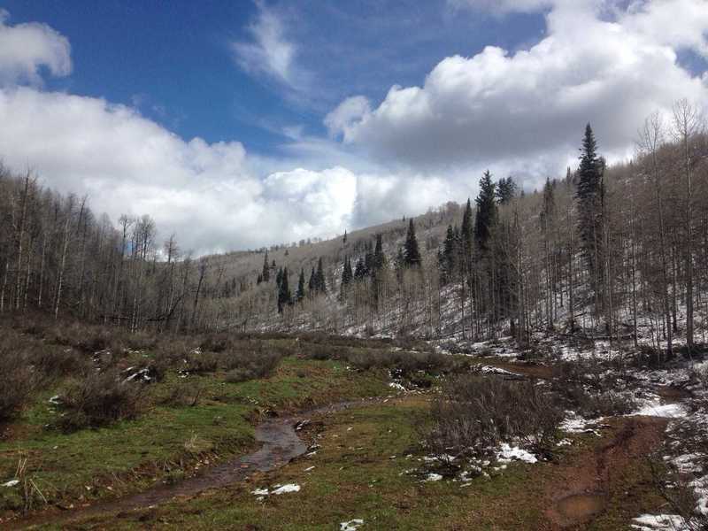 The beginning of the "Elbow" where aspens abound, as do wide open spaces and skies.