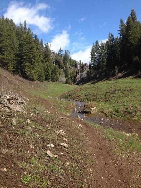 A view of the trail as it meanders through the meadow by the stream