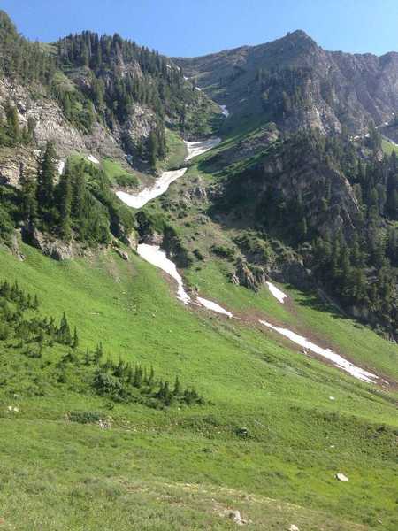 A view of a gully with some snowfields, even in late June