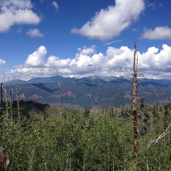 No shortage of great views on this trail