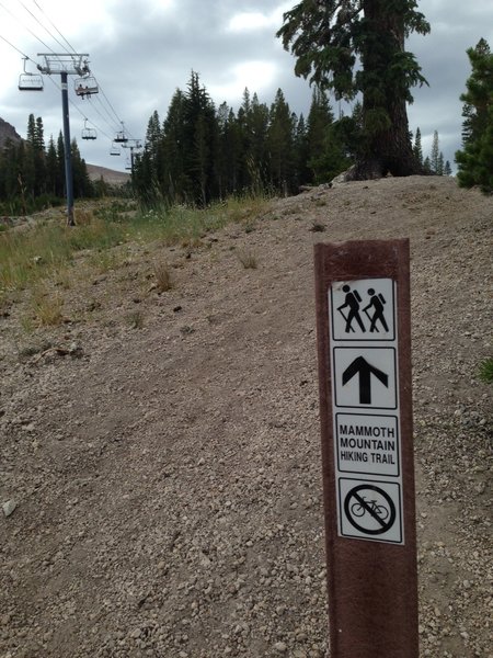 Start or end trail Marker for Mammoth Mountain Trail.