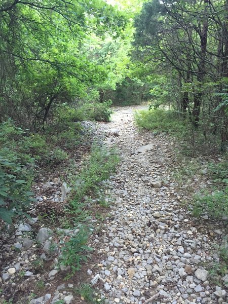 Loose crushed rock at the start of the trail.