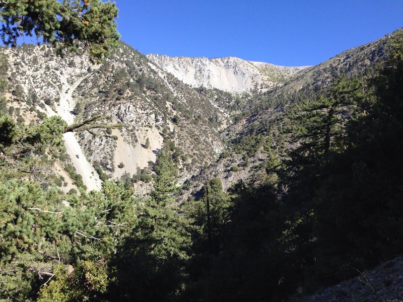 View up toward Sierra Club ski hit and the summit beyond.