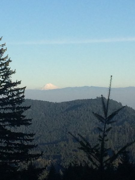 Cascade Peak peeking out of the trees