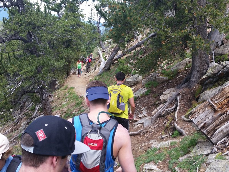 Trail can get crowded in between the trailhead and the Chicago Creek crossing.