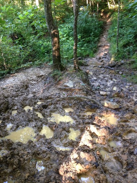 There are several long soft sections of the trail. SLOPPY! Look for bypass trails!