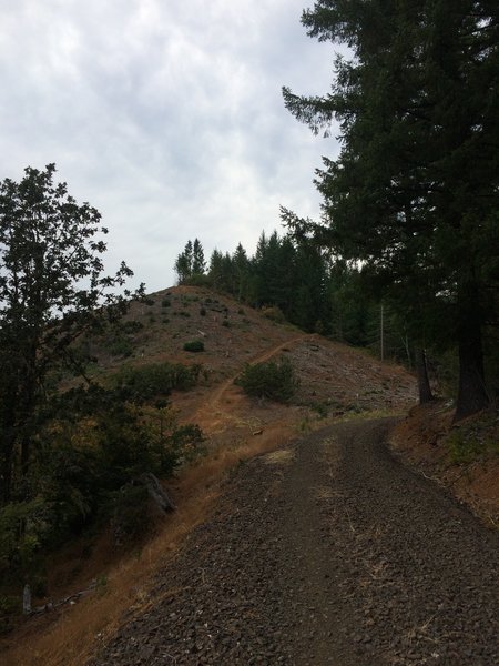 Faint trail (Southridget) leaving the 770 Rd. towards McCulloch peak.