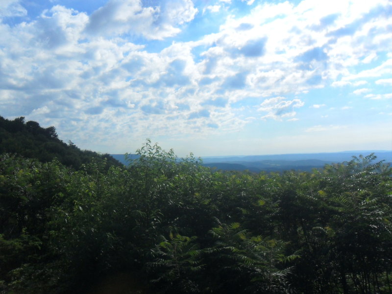 Barely seen is Blue Knob off in the distance, on the far left partially blocked by foliage.  As you run this section you'll have a few occasions to see out across the valley, but no true vistas are available.