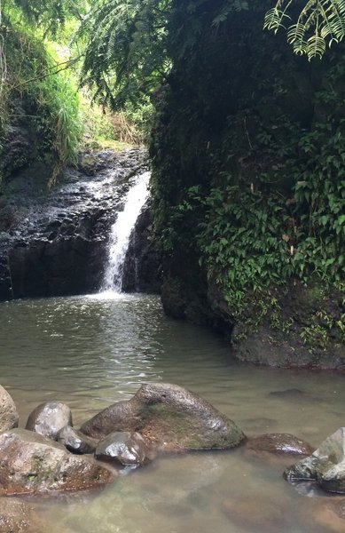 Maunawili Falls