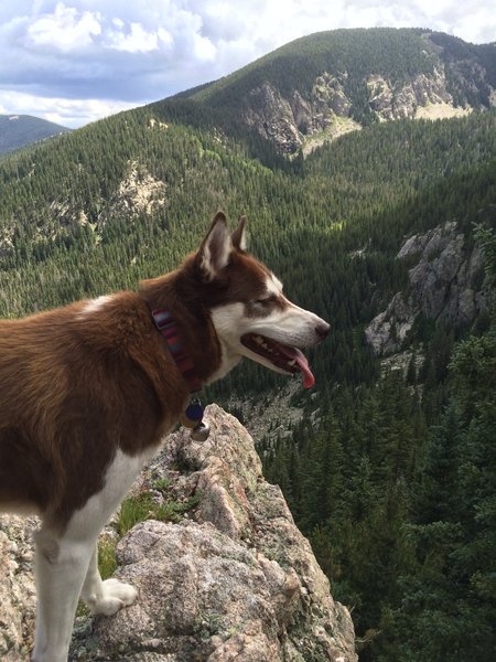 Surveying the route up, and enjoying the view