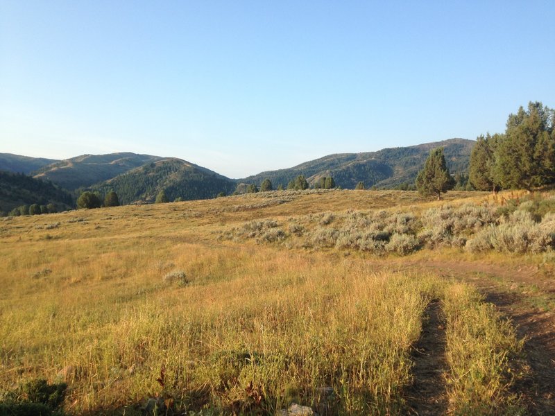 A picture of the trail as it winds through an open valley filled with grasses and sagebrush as the sun rises over it.