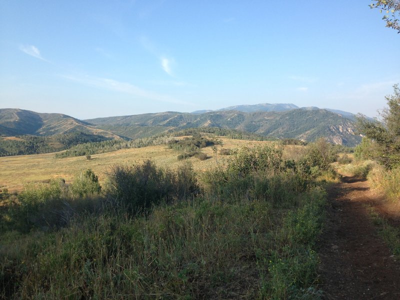 A view of the meadows and woods that surround the trail