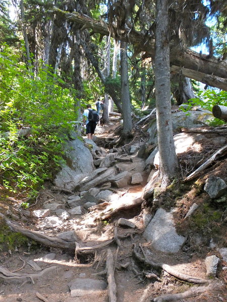 The steep pitch before the lake.