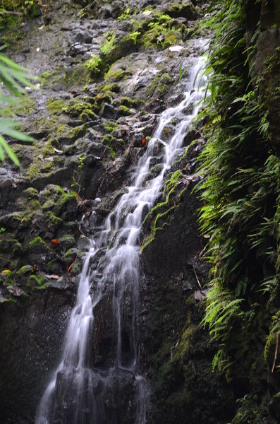 Maunawili Falls