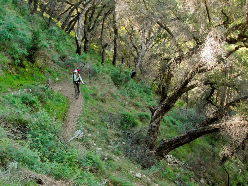 Pine Ridge Trail to Sykes Hot Springs