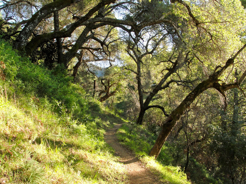 Pine Ridge Trail to Sykes Hot Springs